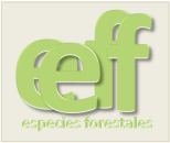 logo_eeff